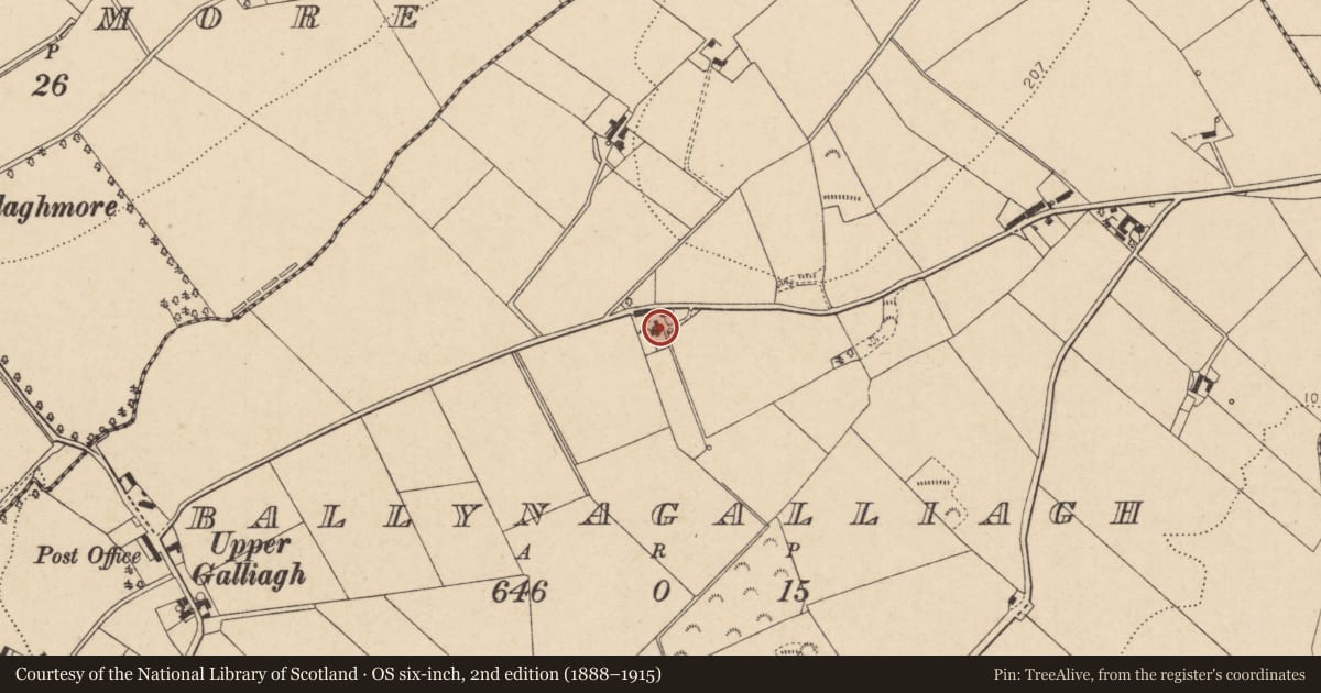 Ordnance Survey six-inch map, 2nd edition (1888–1915) covering the location of The Banks, Ballynagalliagh, Derry City and Strabane, with a pin at the register's coordinates
