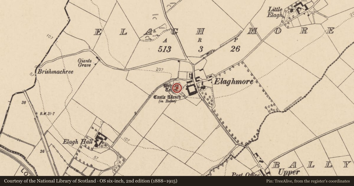 Ordnance Survey six-inch map, 2nd edition (1888–1915) covering the location of Aileach Castle, Elaghmore, Derry City and Strabane, with a pin at the register's coordinates