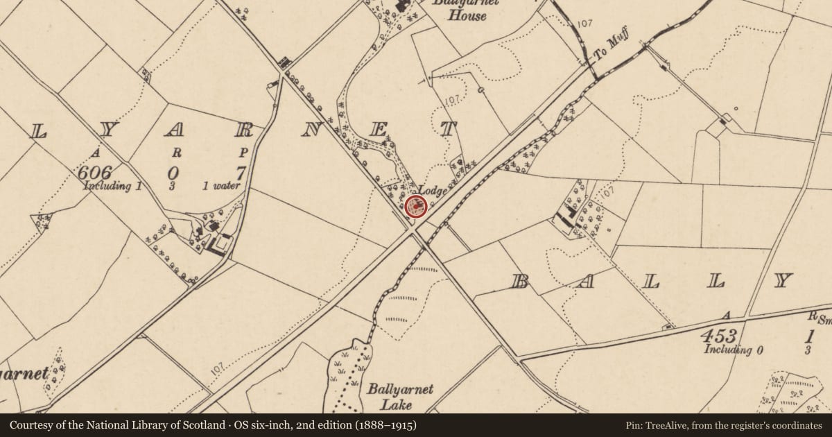Ordnance Survey six-inch map, 2nd edition (1888–1915) covering the location of Gate Lodge, Ballyarnett, Derry City and Strabane, with a pin at the register's coordinates