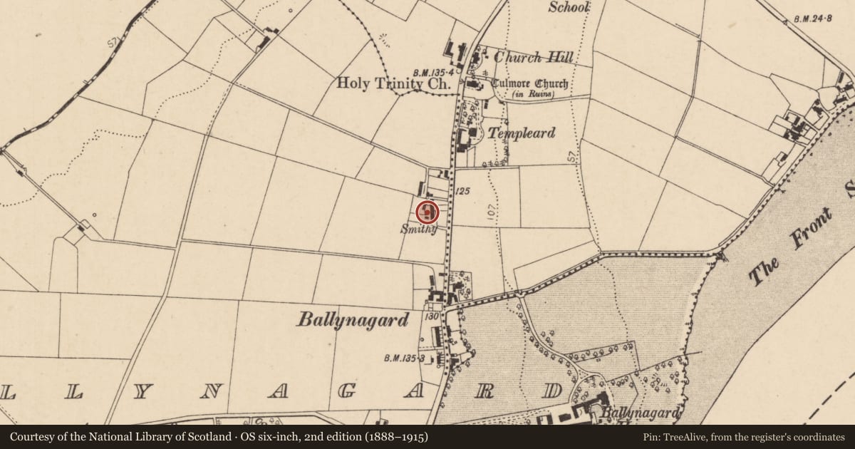 Ordnance Survey six-inch map, 2nd edition (1888–1915) covering the location of 172 Culmore Road, Ballynagard, Derry City and Strabane, with a pin at the register's coordinates