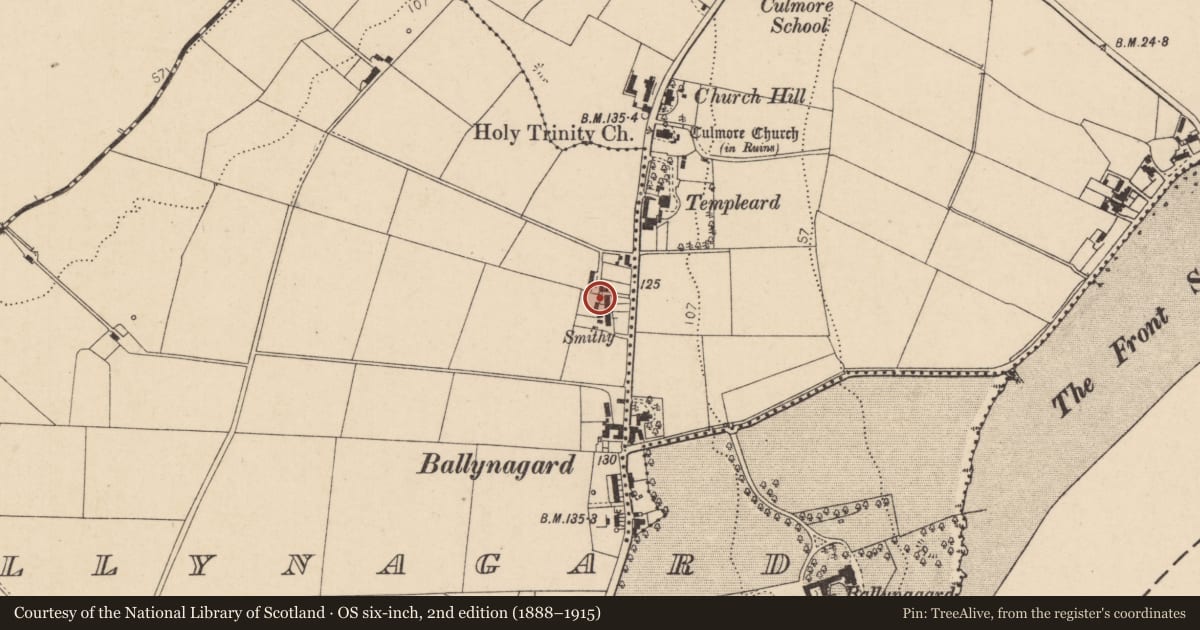 Ordnance Survey six-inch map, 2nd edition (1888–1915) covering the location of 176 Culmore Road, Ballynagard, Derry City and Strabane, with a pin at the register's coordinates