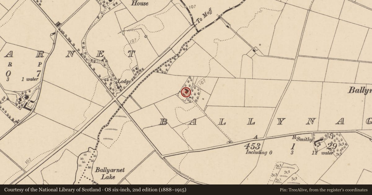 Ordnance Survey six-inch map, 2nd edition (1888–1915) covering the location of House, Ballynagard, Derry City and Strabane, with a pin at the register's coordinates