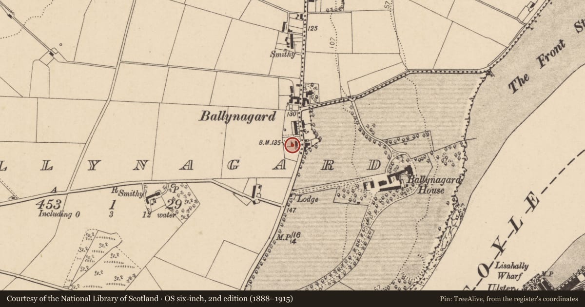 Ordnance Survey six-inch map, 2nd edition (1888–1915) covering the location of 154 Culmore Road, Ballynagard, Derry City and Strabane, with a pin at the register's coordinates