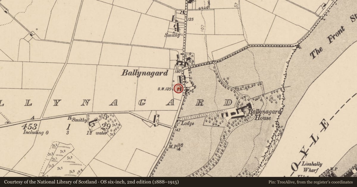 Ordnance Survey six-inch map, 2nd edition (1888–1915) covering the location of 156 Culmore Road, Ballynagard, Derry City and Strabane, with a pin at the register's coordinates