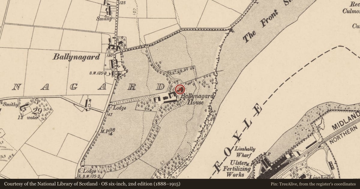 Ordnance Survey six-inch map, 2nd edition (1888–1915) covering the location of Ballynagard House, Derry City and Strabane, with a pin at the register's coordinates