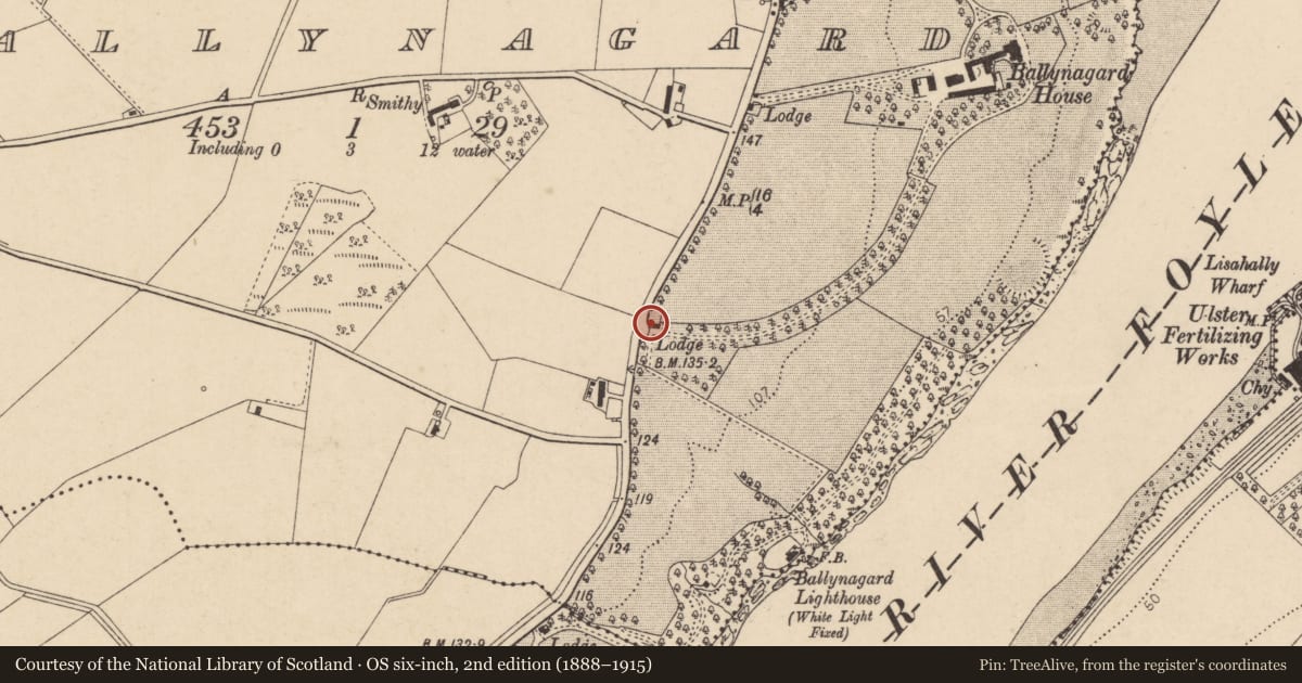 Ordnance Survey six-inch map, 2nd edition (1888–1915) covering the location of South Gate Lodge, Ballynagard, Derry City and Strabane, with a pin at the register's coordinates