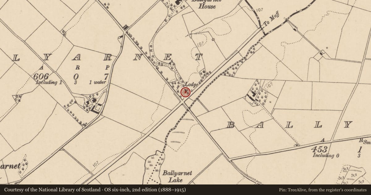 Ordnance Survey six-inch map, 2nd edition (1888–1915) covering the location of North Gate Lodge, Ballynagard, Derry City and Strabane, with a pin at the register's coordinates