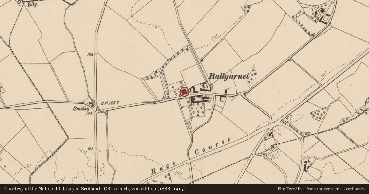 Ordnance Survey six-inch map, 2nd edition (1888–1915) covering the location of Ballyarnett Farm, Derry City and Strabane, with a pin at the register's coordinates