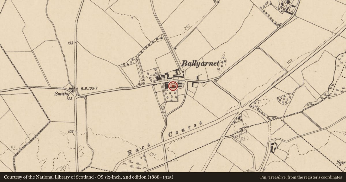 Ordnance Survey six-inch map, 2nd edition (1888–1915) covering the location of Outbuildings, Ballyarnett, Derry City and Strabane, with a pin at the register's coordinates