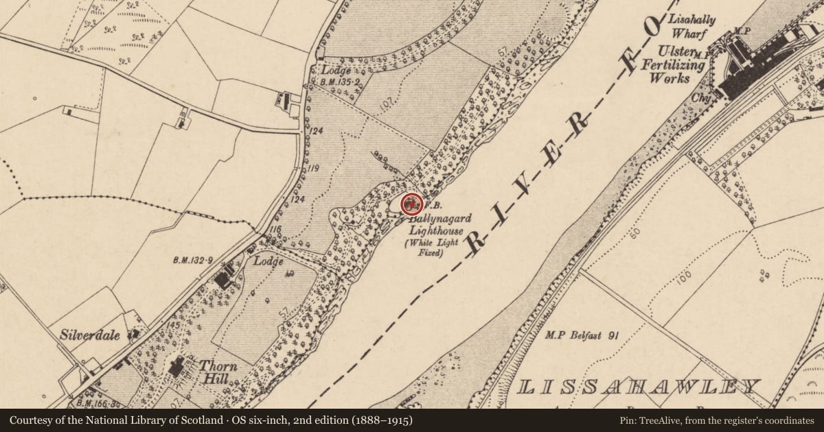 Ordnance Survey six-inch map, 2nd edition (1888–1915) covering the location of Ballynagard Lighthouse, Derry City and Strabane, with a pin at the register's coordinates