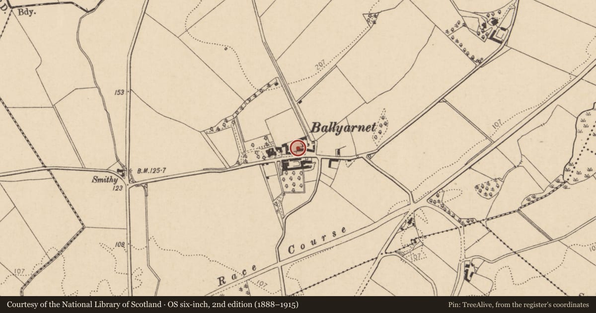 Ordnance Survey six-inch map, 2nd edition (1888–1915) covering the location of Former Land Steward’s House, Ballynagard, Derry City and Strabane, with a pin at the register's coordinates