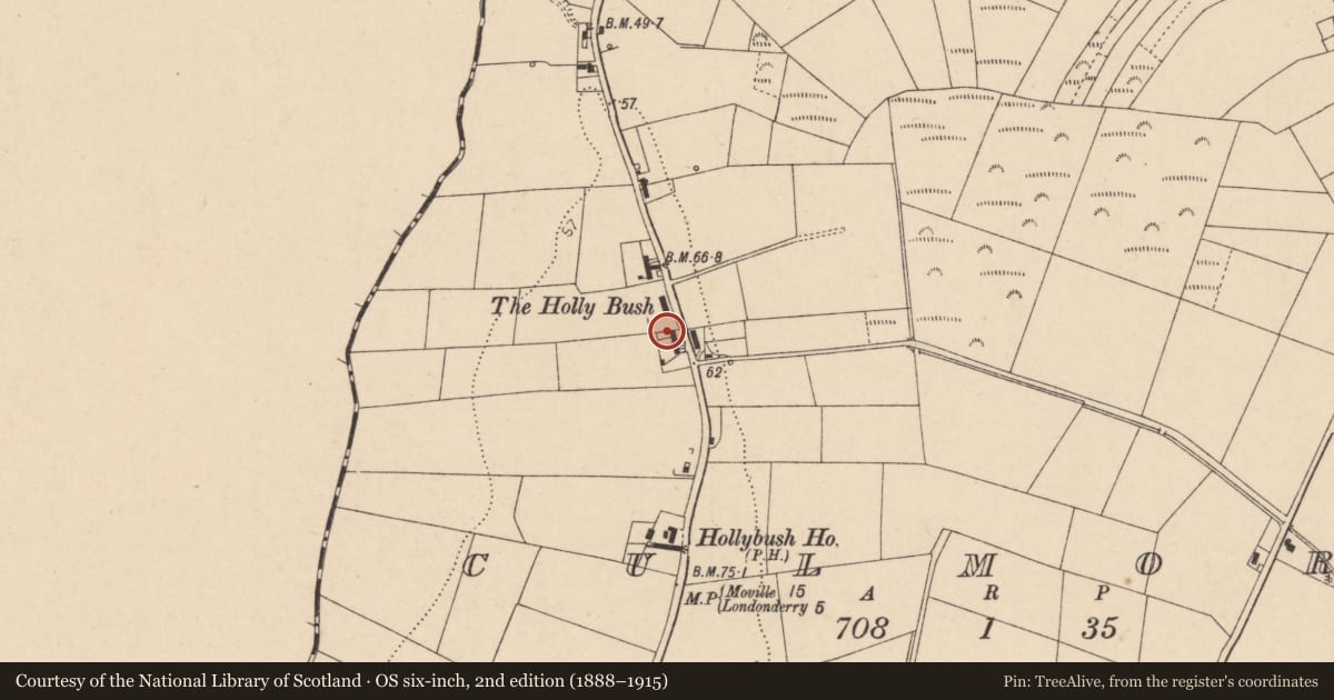 Ordnance Survey six-inch map, 2nd edition (1888–1915) covering the location of Vernacular House, Culmore, Derry City and Strabane, with a pin at the register's coordinates