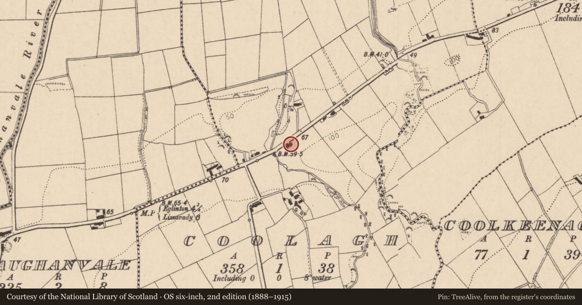 Ordnance Survey six-inch map, 2nd edition (1888–1915) covering the location of 293 Clooney Road, Coolagh, Causeway Coast and Glens, with a pin at the register's coordinates