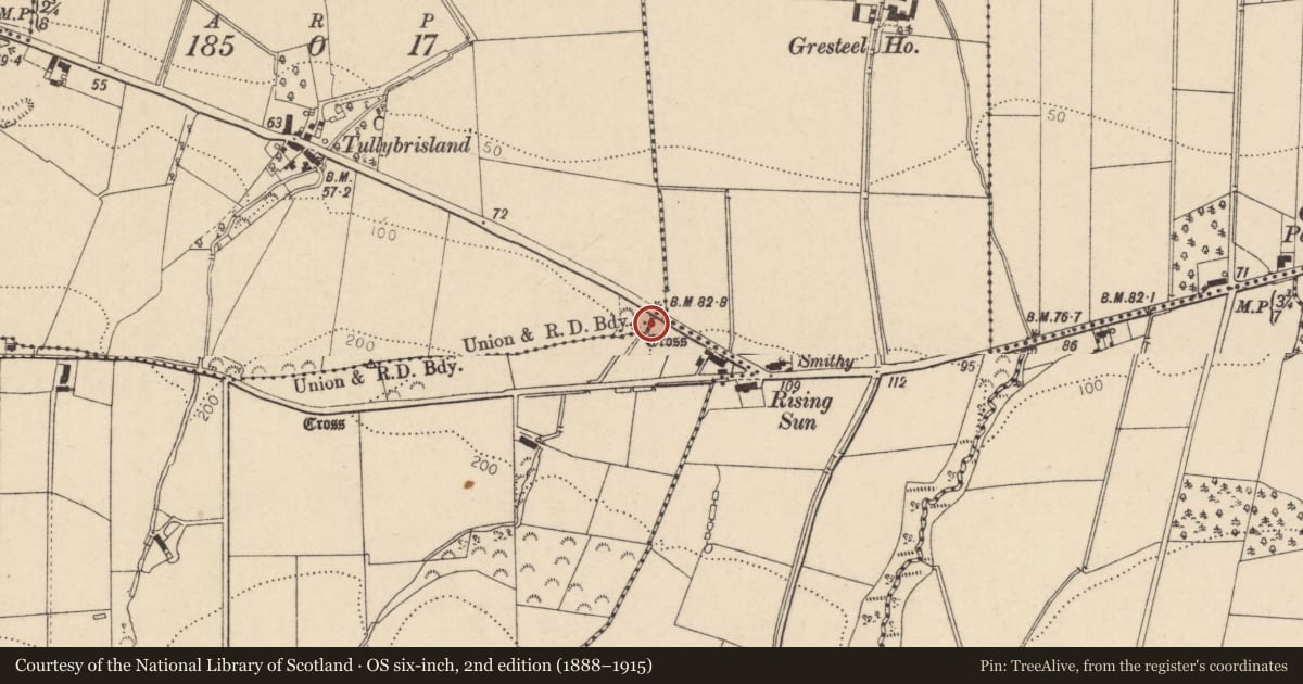 Ordnance Survey six-inch map, 2nd edition (1888–1915) covering the location of Cross, Tullybrisland, Causeway Coast and Glens, with a pin at the register's coordinates