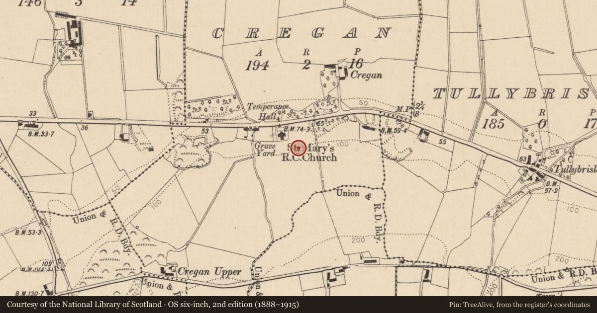 Ordnance Survey six-inch map, 2nd edition (1888–1915) covering the location of Standing Stone, Cregan, Causeway Coast and Glens, with a pin at the register's coordinates