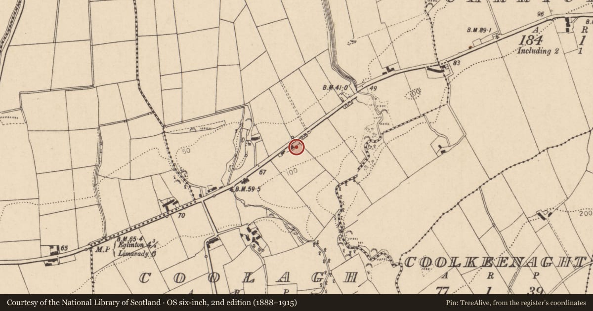 Ordnance Survey six-inch map, 2nd edition (1888–1915) covering the location of 295 Clooney Road, Coolagh, Causeway Coast and Glens, with a pin at the register's coordinates