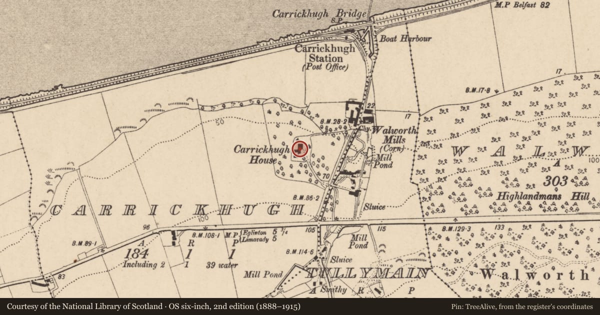 Ordnance Survey six-inch map, 2nd edition (1888–1915) covering the location of Carrichue House, Carrickhugh, Causeway Coast and Glens, with a pin at the register's coordinates