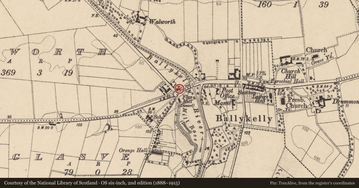 Ordnance Survey six-inch map, 2nd edition (1888–1915) covering the location of Bridge House, Walworth, Causeway Coast and Glens, with a pin at the register's coordinates