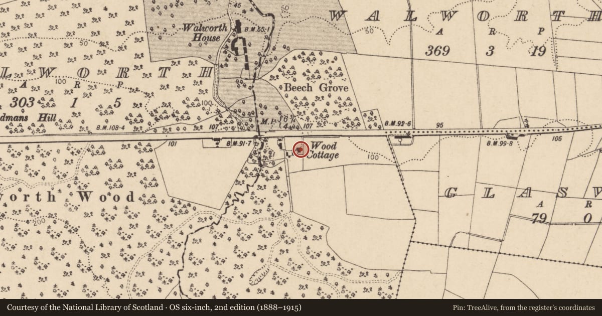 Ordnance Survey six-inch map, 2nd edition (1888–1915) covering the location of Wood Cottage, Walworth, Causeway Coast and Glens, with a pin at the register's coordinates