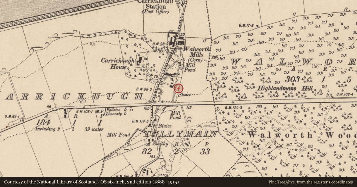 Ordnance Survey six-inch map, 2nd edition (1888–1915) covering the location of Carrickhugh Flour Mill, Tullymain, Causeway Coast and Glens, with a pin at the register's coordinates