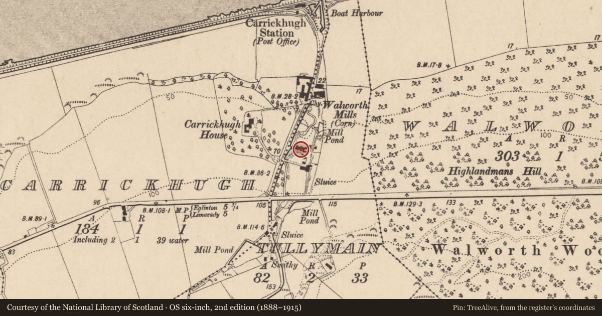 Ordnance Survey six-inch map, 2nd edition (1888–1915) covering the location of Small Corn Mill, Tullymain, Causeway Coast and Glens, with a pin at the register's coordinates