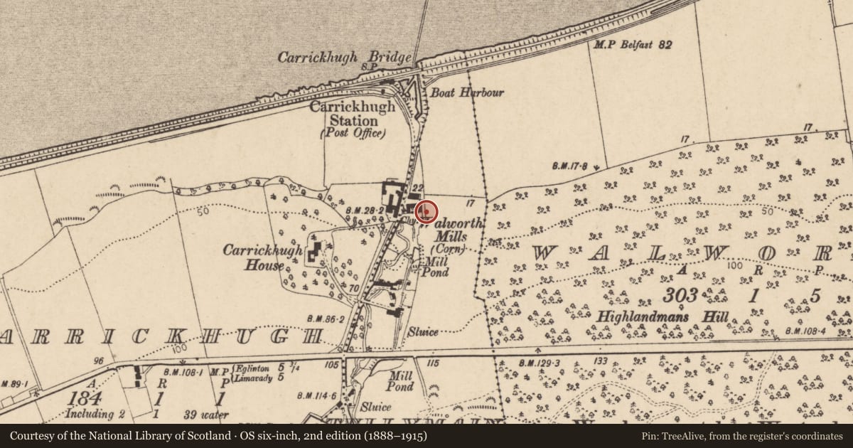 Ordnance Survey six-inch map, 2nd edition (1888–1915) covering the location of Carrickhugh Corn Mill, Tullymain, Causeway Coast and Glens, with a pin at the register's coordinates