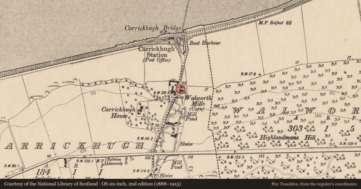 Ordnance Survey six-inch map, 2nd edition (1888–1915) covering the location of Farm Buildings, Carrickhugh, Causeway Coast and Glens, with a pin at the register's coordinates