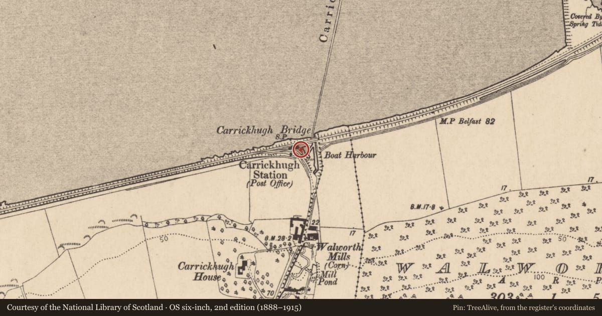 Ordnance Survey six-inch map, 2nd edition (1888–1915) covering the location of Carrickhugh Station, Causeway Coast and Glens, with a pin at the register's coordinates