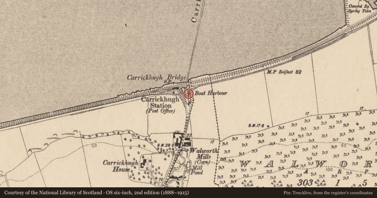Ordnance Survey six-inch map, 2nd edition (1888–1915) covering the location of Carrickhugh Harbour, Causeway Coast and Glens, with a pin at the register's coordinates