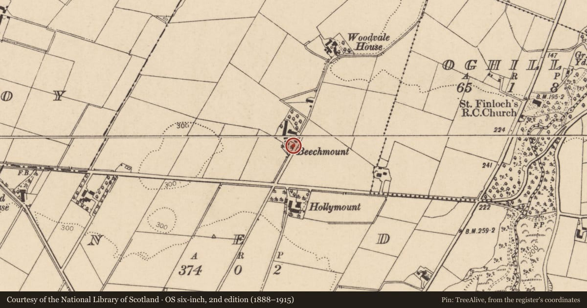 Ordnance Survey six-inch map, 2nd edition (1888–1915) covering the location of Laburnum Lodge, Tirmacoy, Causeway Coast and Glens, with a pin at the register's coordinates