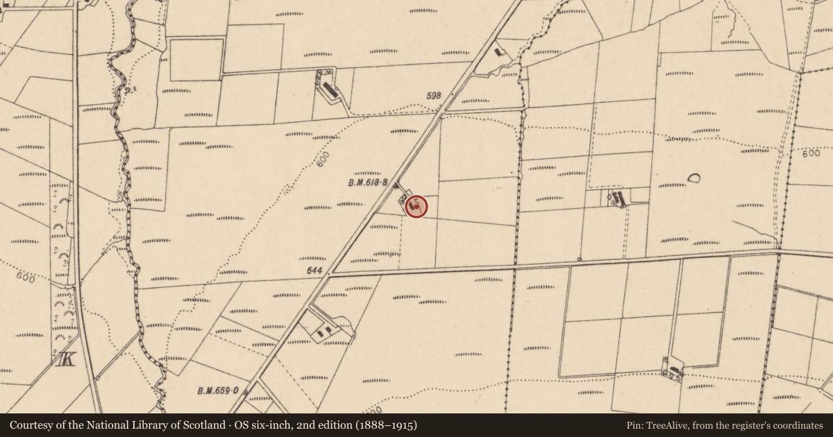 Ordnance Survey six-inch map, 2nd edition (1888–1915) covering the location of 214 Baranailt Road, Tartnakilly, Causeway Coast and Glens, with a pin at the register's coordinates