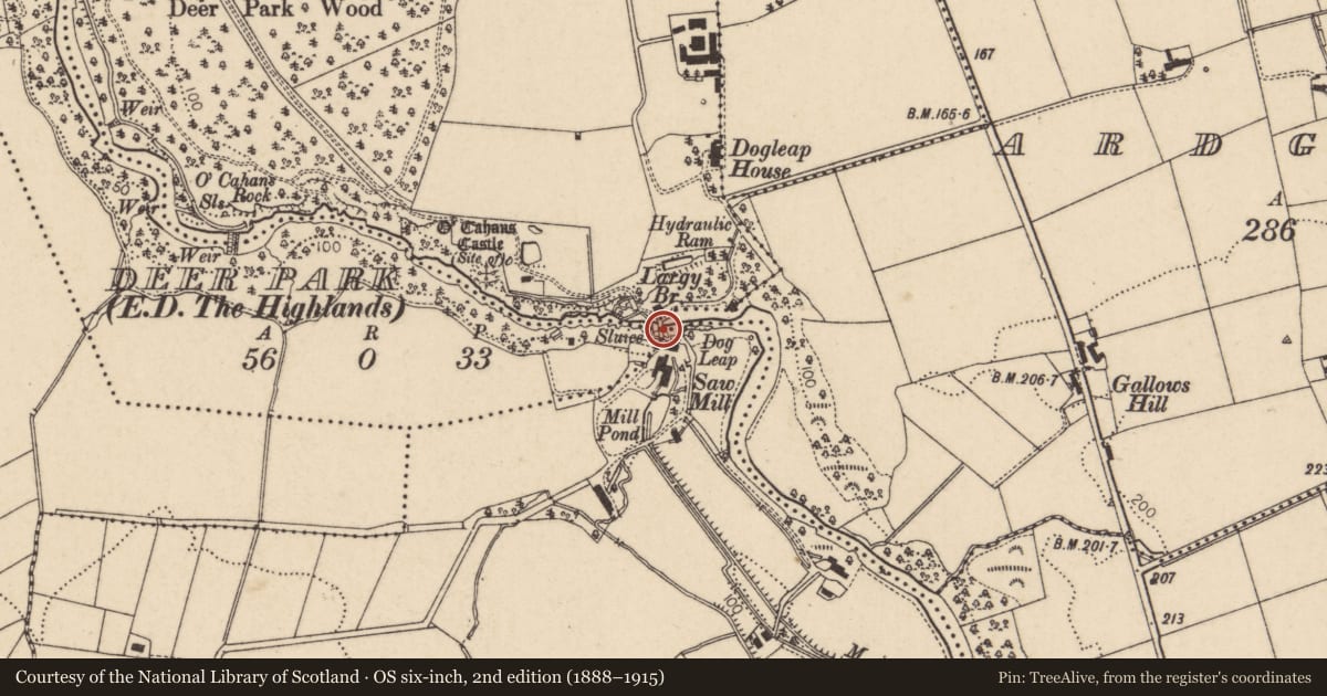 Ordnance Survey six-inch map, 2nd edition (1888–1915) covering the location of Largy Bridge, Causeway Coast and Glens, with a pin at the register's coordinates
