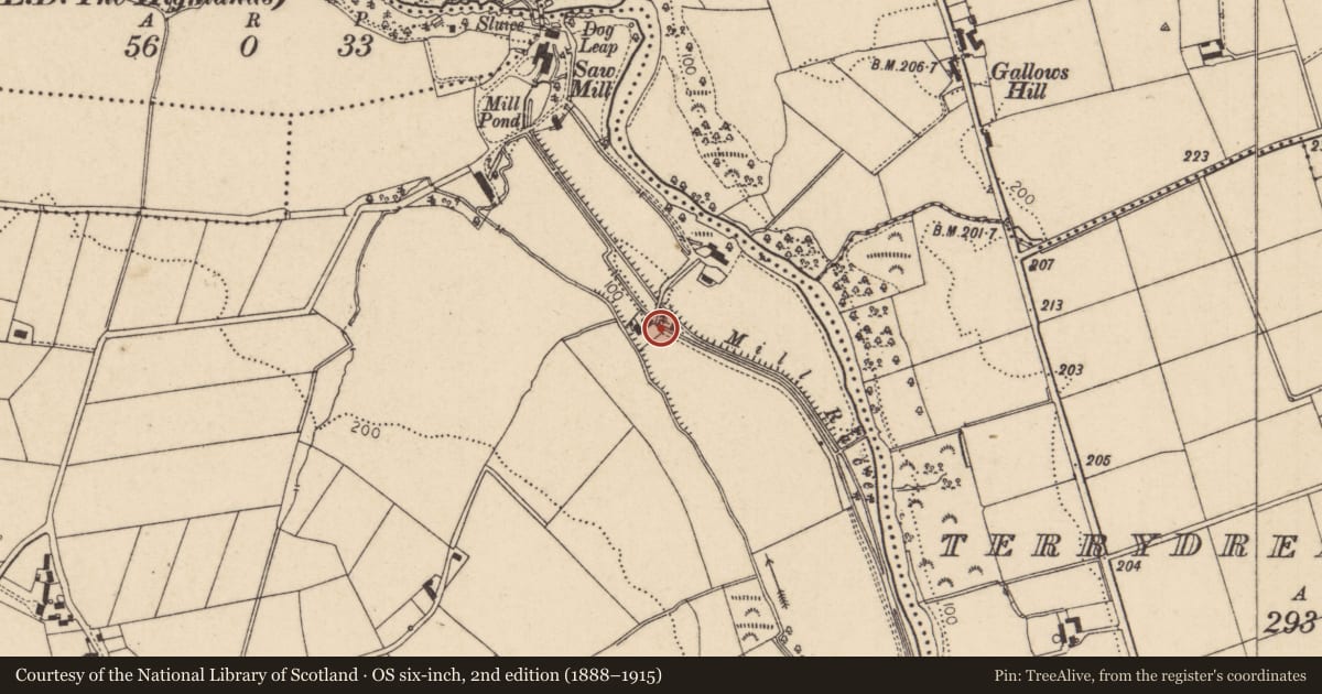 Ordnance Survey six-inch map, 2nd edition (1888–1915) covering the location of Mill Buildings, Largy, Causeway Coast and Glens, with a pin at the register's coordinates