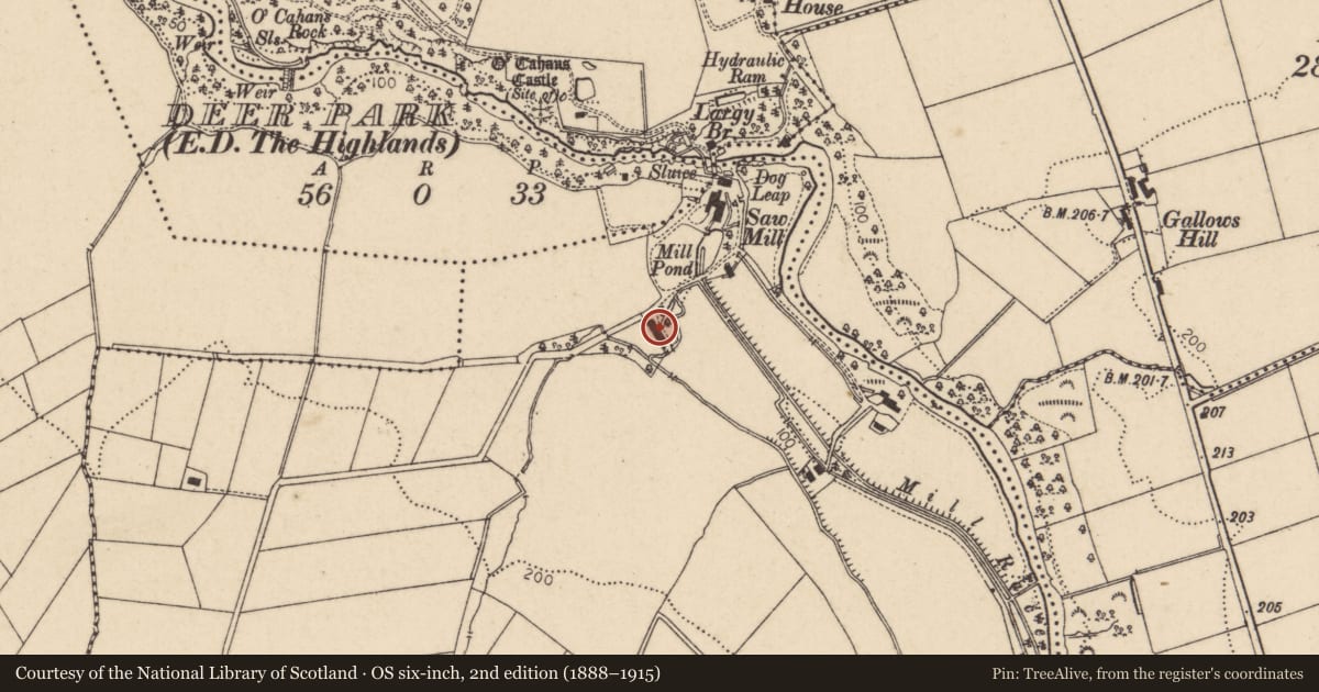 Ordnance Survey six-inch map, 2nd edition (1888–1915) covering the location of Weaving Shed Museum, Largy, Causeway Coast and Glens, with a pin at the register's coordinates
