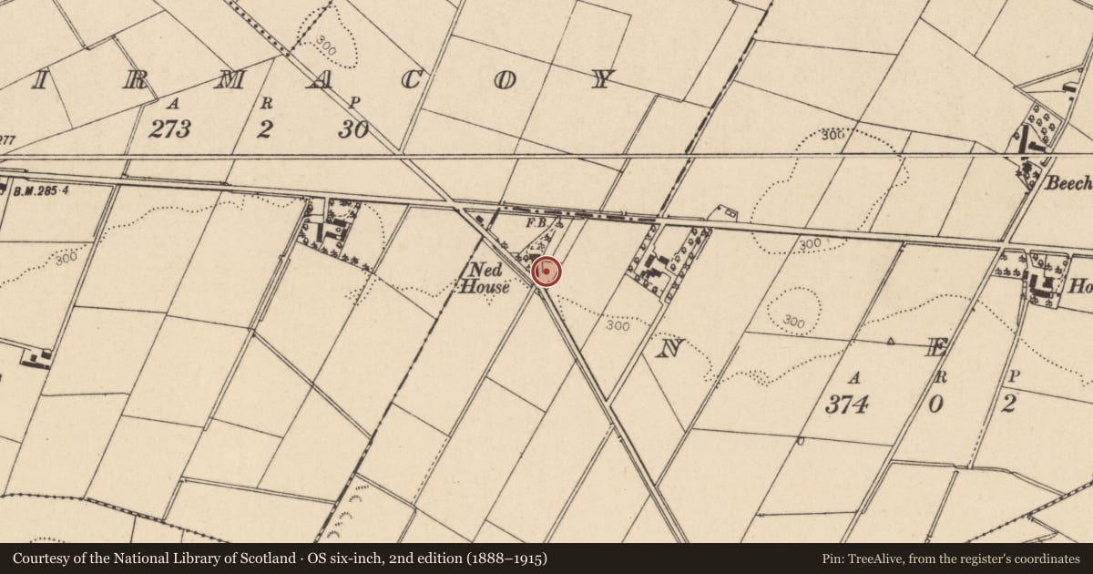 Ordnance Survey six-inch map, 2nd edition (1888–1915) covering the location of Outbuildings, Nedd, Causeway Coast and Glens, with a pin at the register's coordinates