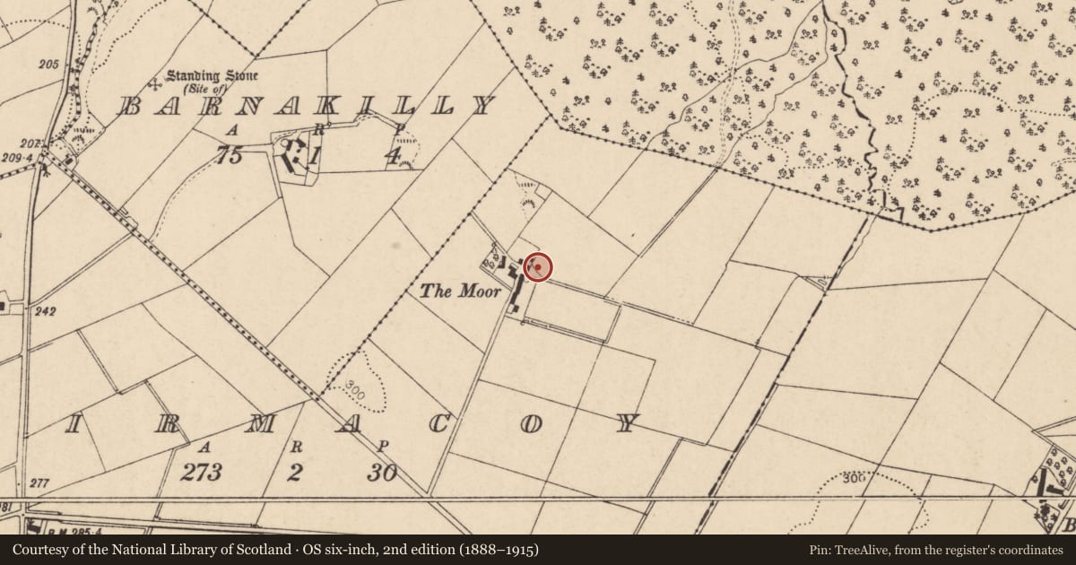 Ordnance Survey six-inch map, 2nd edition (1888–1915) covering the location of House near 20 Tirmacoy Road, Causeway Coast and Glens, with a pin at the register's coordinates