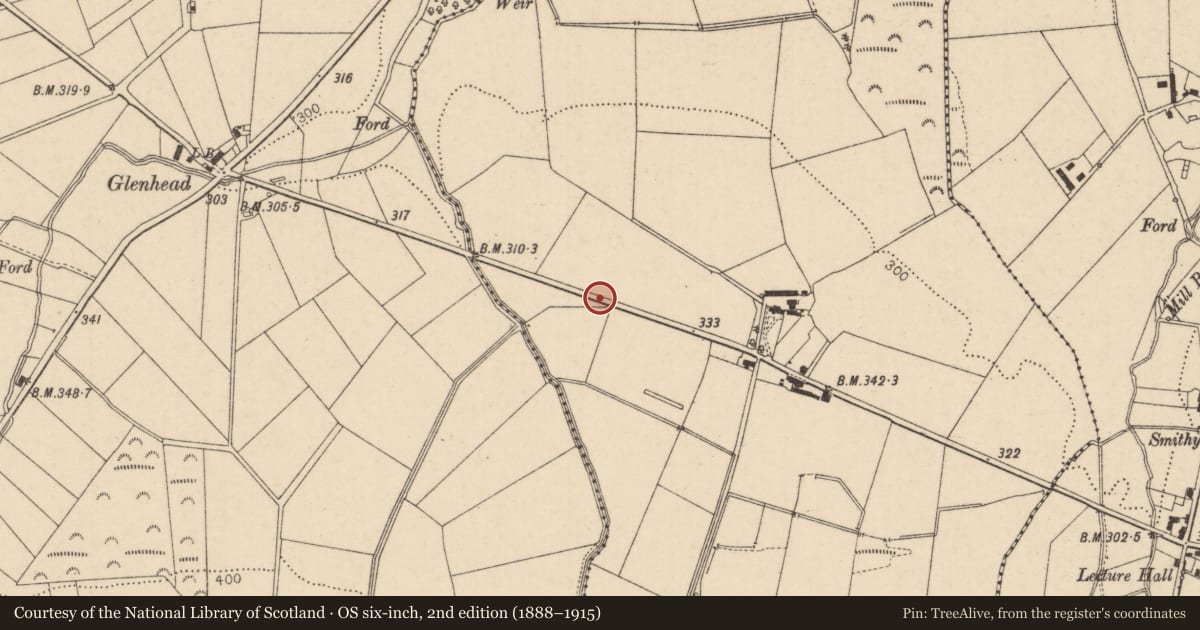 Ordnance Survey six-inch map, 2nd edition (1888–1915) covering the location of Gate piers & field gate, Magheramore, Causeway Coast and Glens, with a pin at the register's coordinates