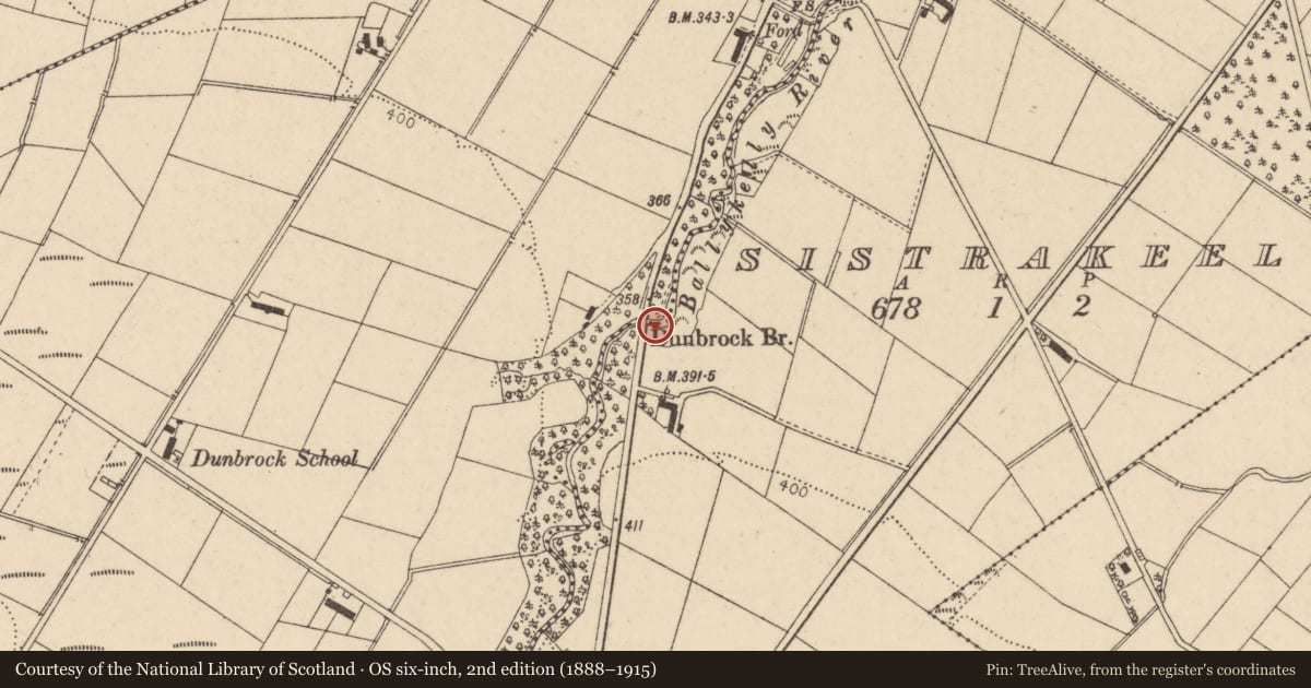 Ordnance Survey six-inch map, 2nd edition (1888–1915) covering the location of Dunbrock Bridge, Causeway Coast and Glens, with a pin at the register's coordinates