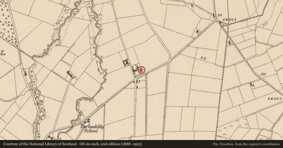 Ordnance Survey six-inch map, 2nd edition (1888–1915) covering the location of 11 Tartnakilly Road, Tartnailly, Causeway Coast and Glens, with a pin at the register's coordinates