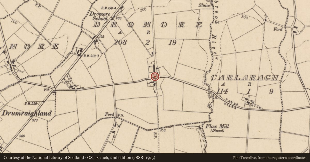Ordnance Survey six-inch map, 2nd edition (1888–1915) covering the location of Highlands Primary School, Dromore, Causeway Coast and Glens, with a pin at the register's coordinates