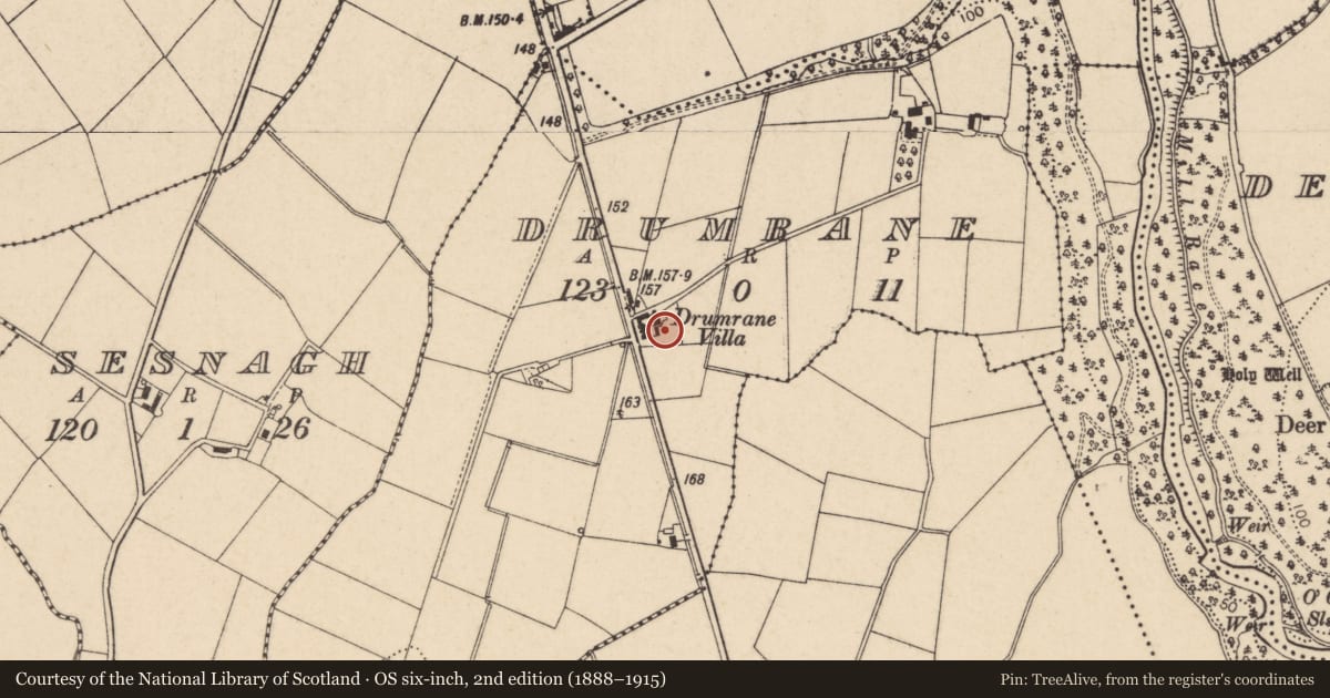 Ordnance Survey six-inch map, 2nd edition (1888–1915) covering the location of Drumrane Villa, Causeway Coast and Glens, with a pin at the register's coordinates