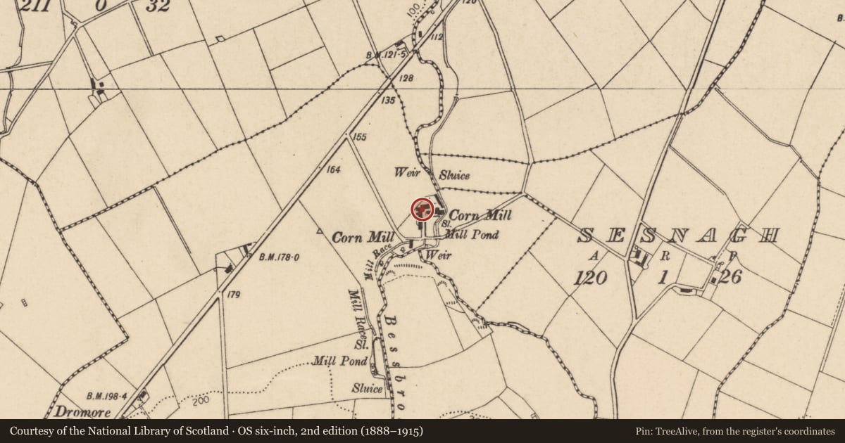 Ordnance Survey six-inch map, 2nd edition (1888–1915) covering the location of Mill House, 64 Baranailt Road, Limavady, Co Londonderry, BT49 9HN, Dromore, Causeway Coast and Glens, with a pin at the register's coordinates