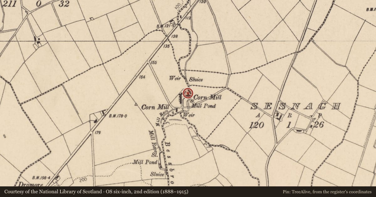 Ordnance Survey six-inch map, 2nd edition (1888–1915) covering the location of Dromore Mills, 64 Baranailt Road, Limavady, Co Londonderry, BT49 9HN, Causeway Coast and Glens, with a pin at the register's coordinates