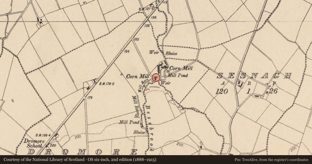 Ordnance Survey six-inch map, 2nd edition (1888–1915) covering the location of Dromore Mills, 64 Baranailt Road, Limavady, Co Londonderry, BT49 9HN, Causeway Coast and Glens, with a pin at the register's coordinates