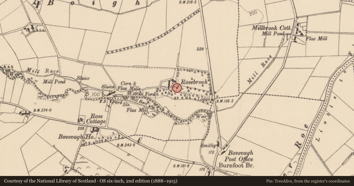 Ordnance Survey six-inch map, 2nd edition (1888–1915) covering the location of Rosebrook, Ardinarive, Causeway Coast and Glens, with a pin at the register's coordinates