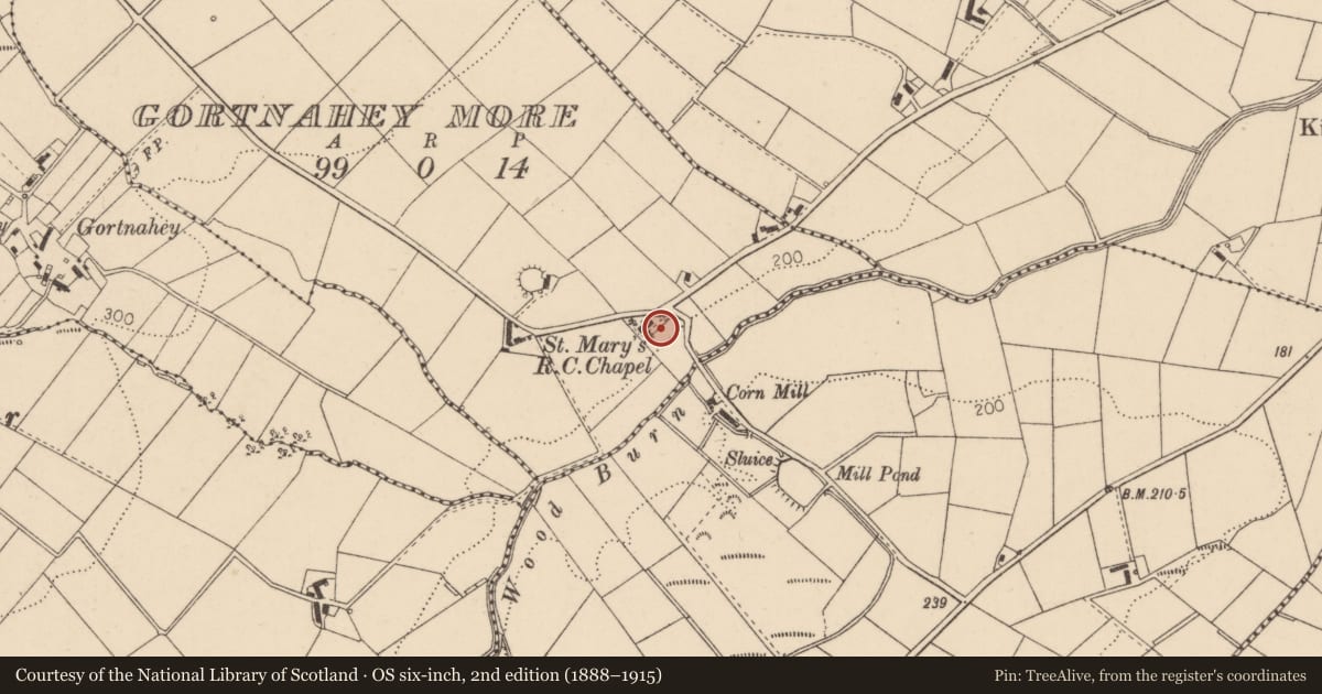 Ordnance Survey six-inch map, 2nd edition (1888–1915) covering the location of St Mary’s Church (RC), Gortnahey More, Causeway Coast and Glens, with a pin at the register's coordinates
