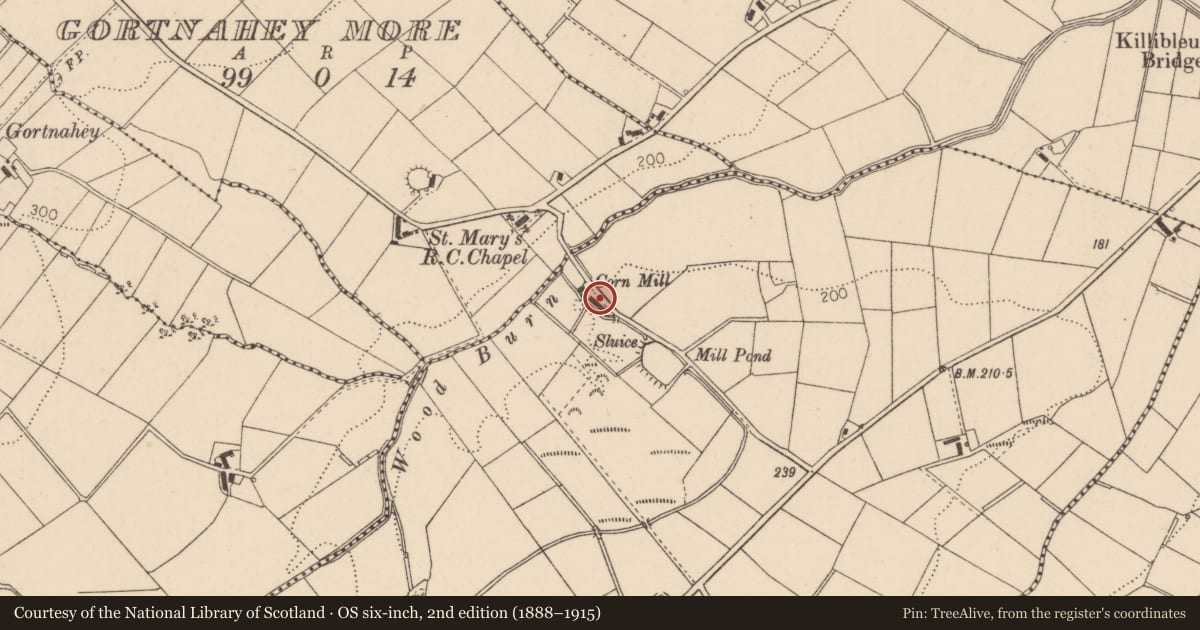 Ordnance Survey six-inch map, 2nd edition (1888–1915) covering the location of Dwelling, Derrylane, Causeway Coast and Glens, with a pin at the register's coordinates