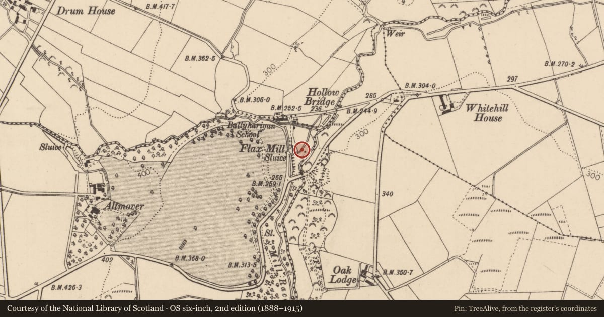 Ordnance Survey six-inch map, 2nd edition (1888–1915) covering the location of Former Flax Mill, Ballyharigan, Causeway Coast and Glens, with a pin at the register's coordinates
