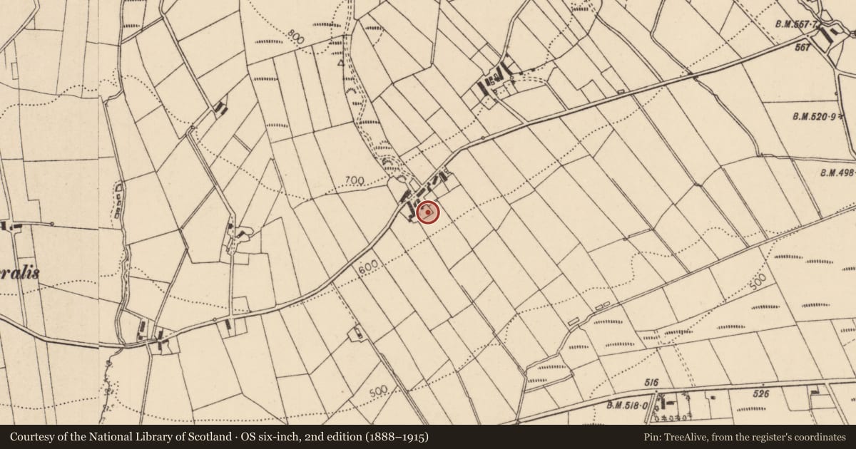 Ordnance Survey six-inch map, 2nd edition (1888–1915) covering the location of 119 Muldonagh Road, Causeway Coast and Glens, with a pin at the register's coordinates
