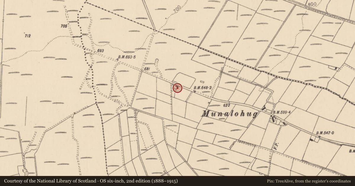 Ordnance Survey six-inch map, 2nd edition (1888–1915) covering the location of 14 Munolahug Road, Ballyharigan, Causeway Coast and Glens, with a pin at the register's coordinates
